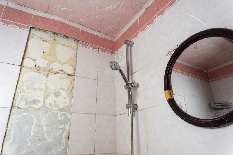 Products For Shower Tile Repairs in use